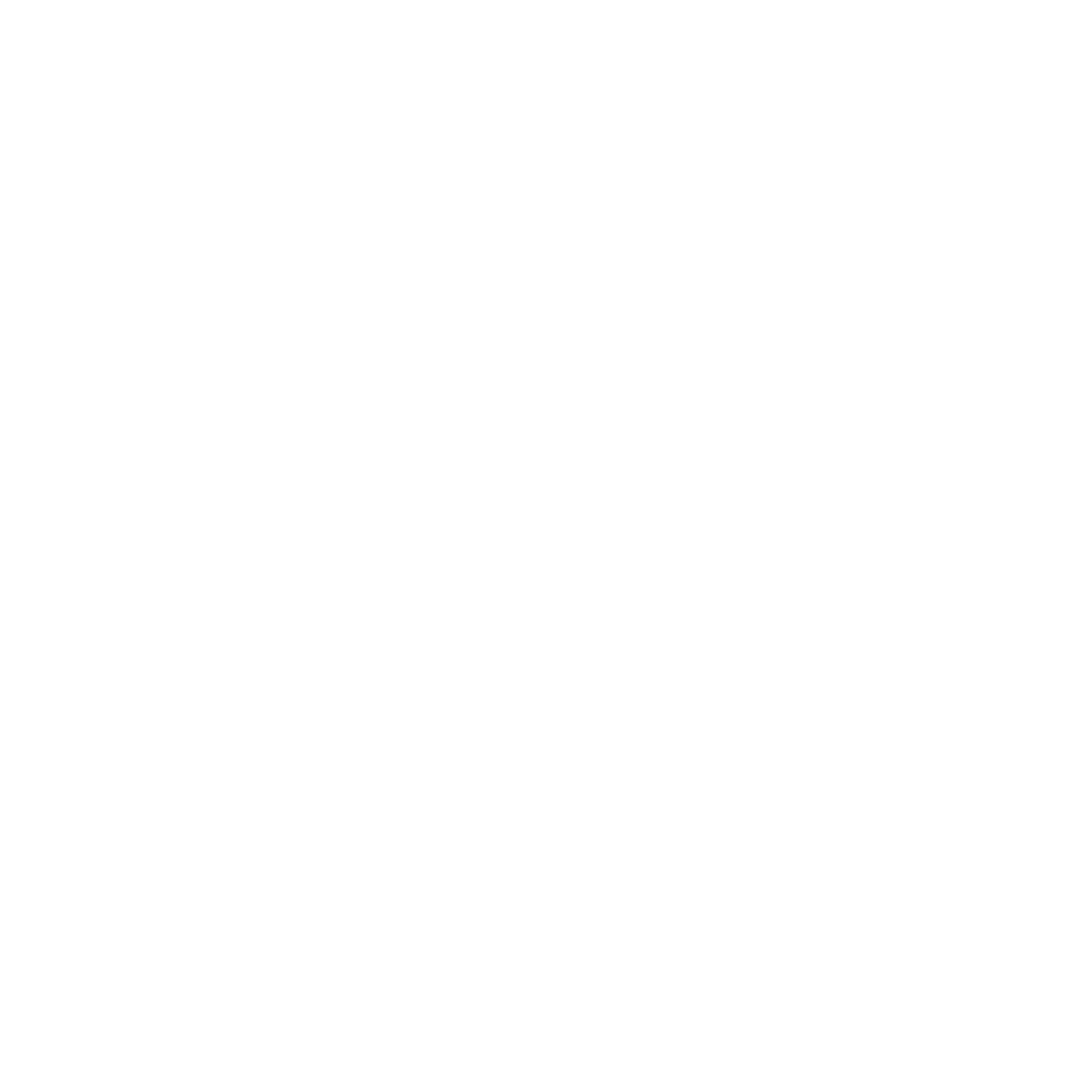 densply-project-logo