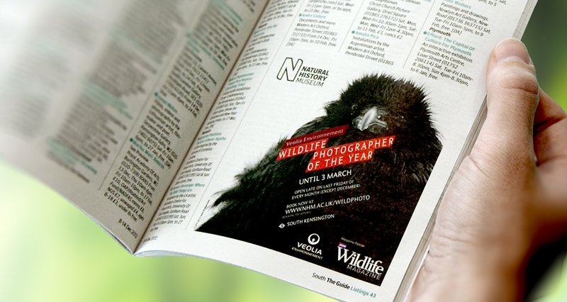 natural-history-museum-branding-advertisement-listing-landscape